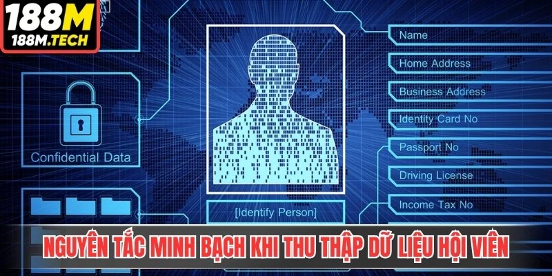 Nguyên tắc minh bạch khi thu thập dữ liệu hội viên